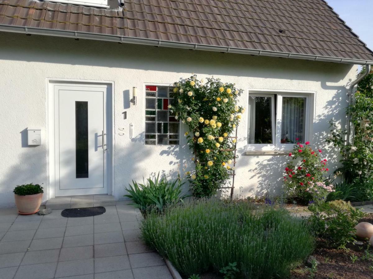 Ferien-Appartement Goldhausen Екстериор снимка